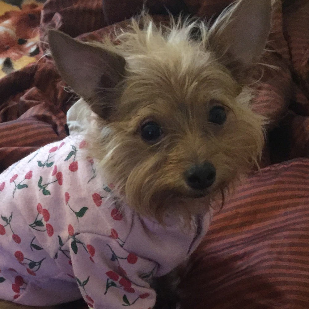 Meet your Posher, Jennifer